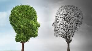 Trauma-Informed Care and Interventions for Youth