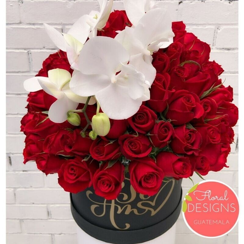 Luxury Box + Orquídea