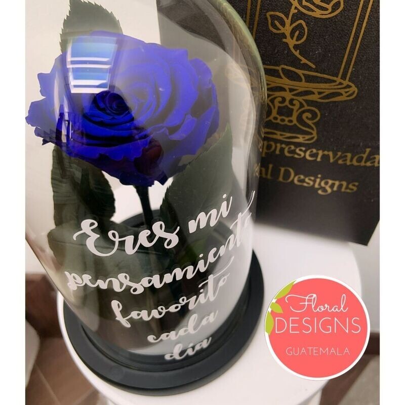 Rosa preservada Azul
