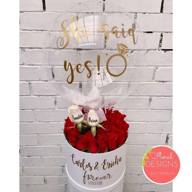 Roundbox Delux + globo burbuja