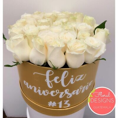 Roundbox Color dorada