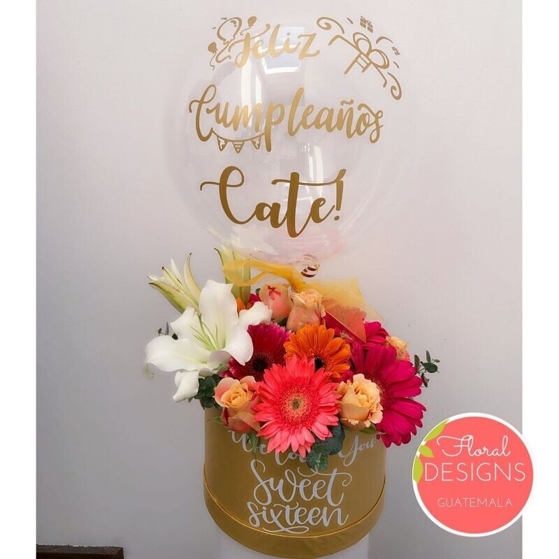 Roundbox Color Floral Designs + Globo burbuja