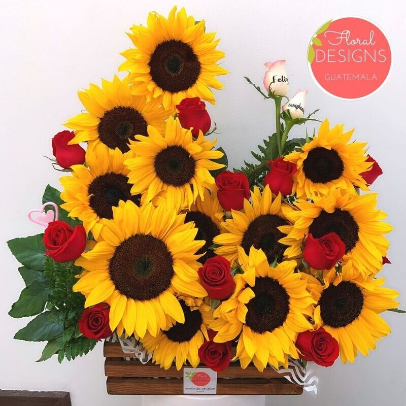 Sunny + rosas