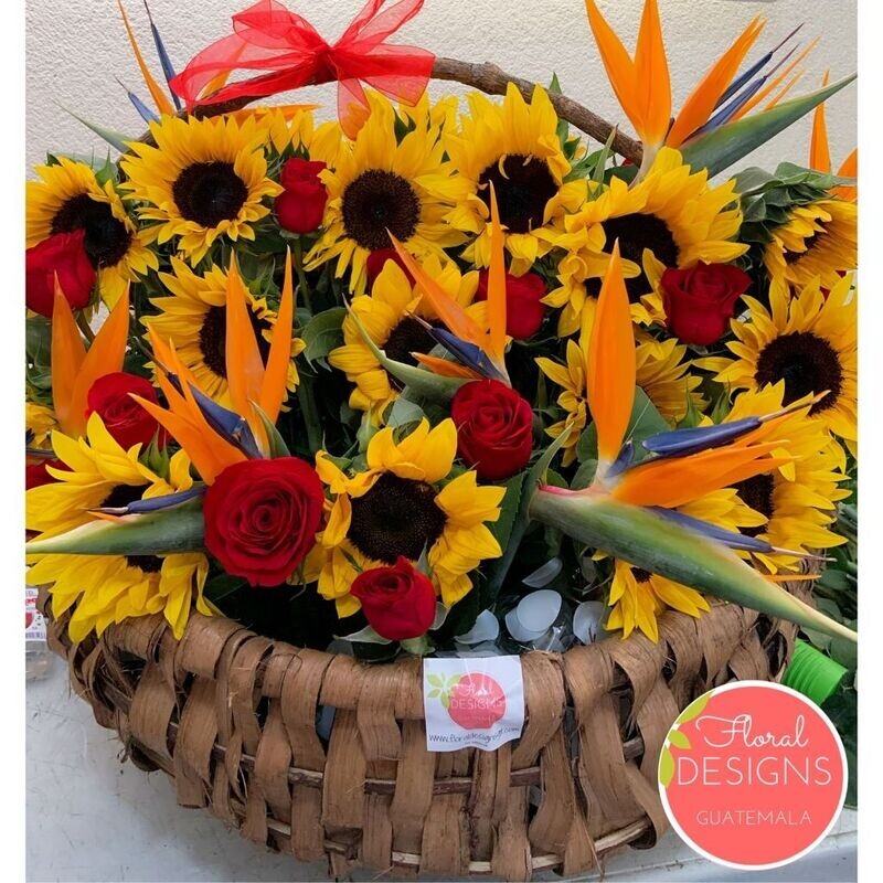 Cesta Primavera