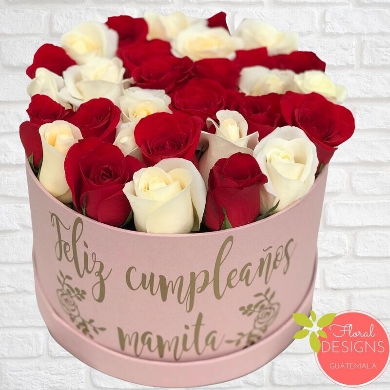 Roundbox Color Rosada