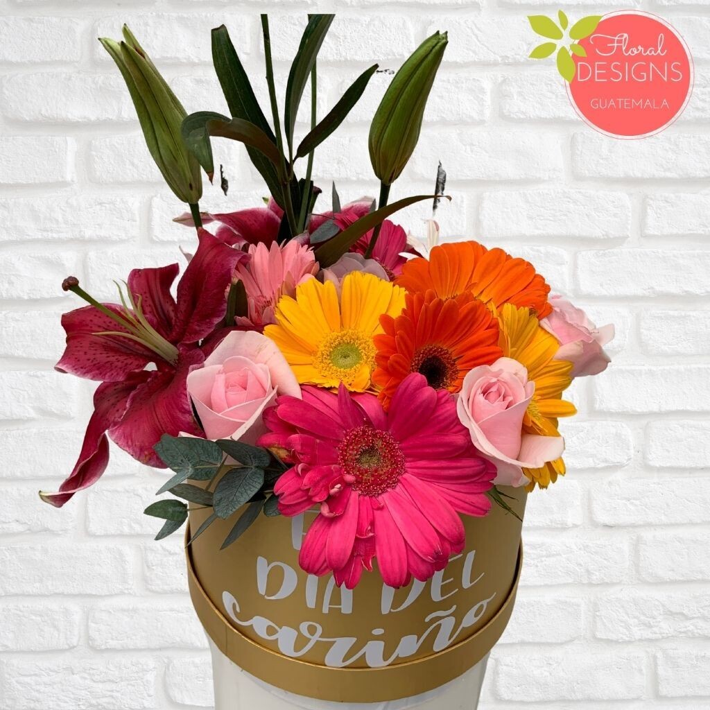 Roundbox Color Floral Designs