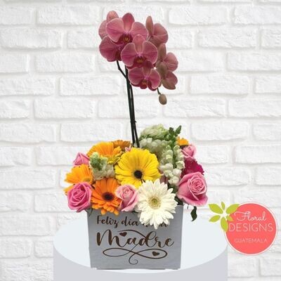 Caja de Flores Mixtas + Orquídea