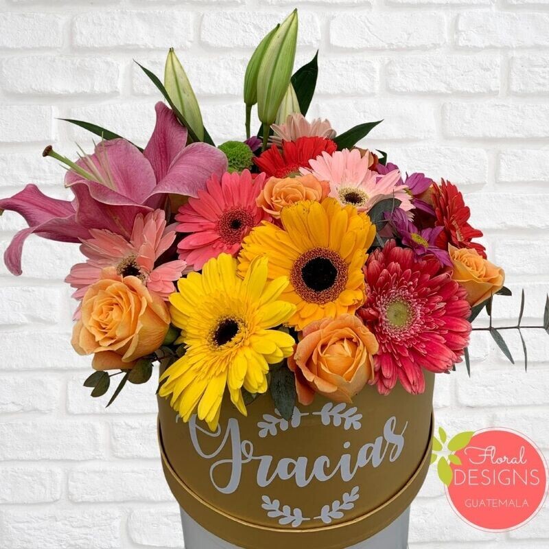 Roundbox Color Floral Designs