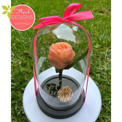 Cúpula de Peonía y mini rosa inglesa color Peach