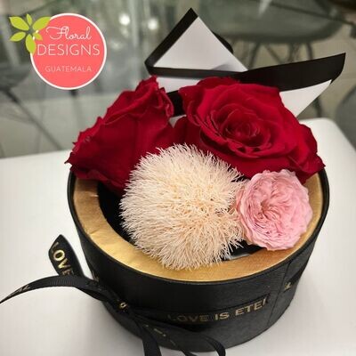 Mini Roundbox Delux de rosas naturales preservadas rojas
