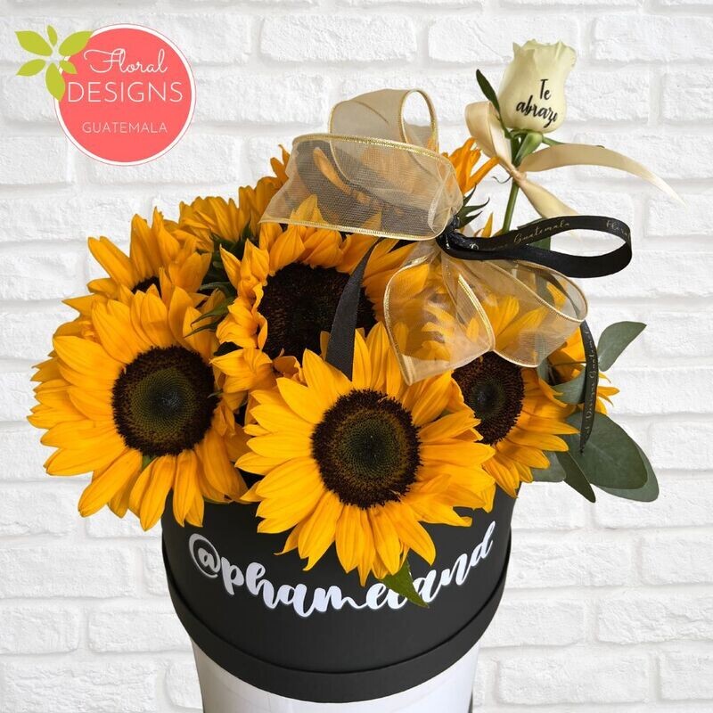 Roundbox Color de Girasoles