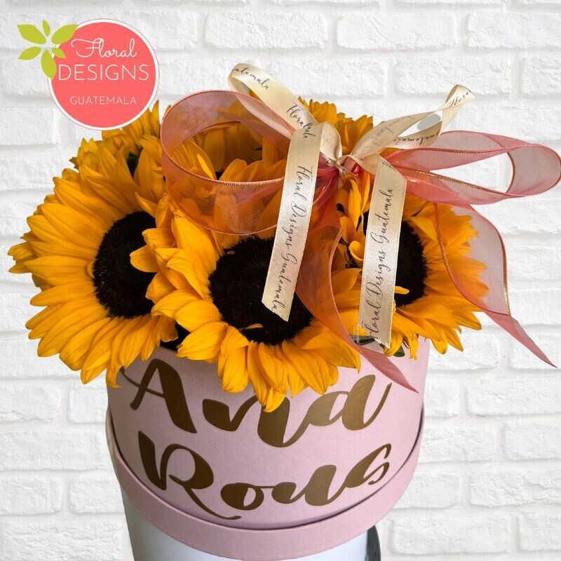 Roundbox Color rosada de Girasoles