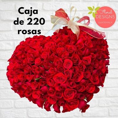 Caja Amor Amor de 220 rosas