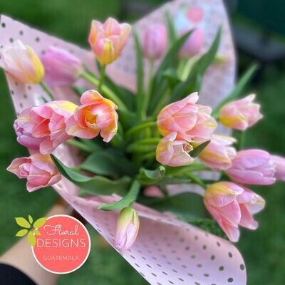 Bouquet de 20 tulipanes en 2 tonos