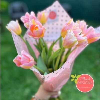 Bouquet de 10 Tulipanes rosado y amarillo