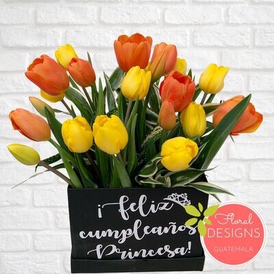 Caja de 20 tulipanes