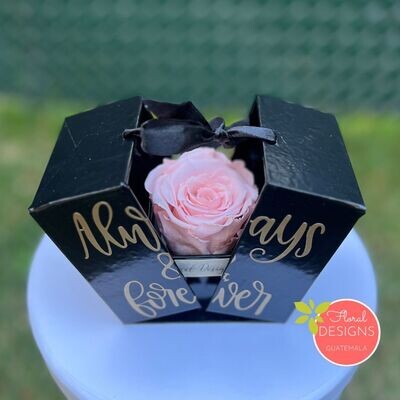 Mini Secret Box de rosa preservada Rosada
