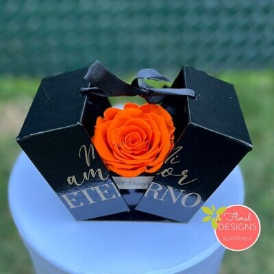 Mini Secret Box de rosa preservada Naranja