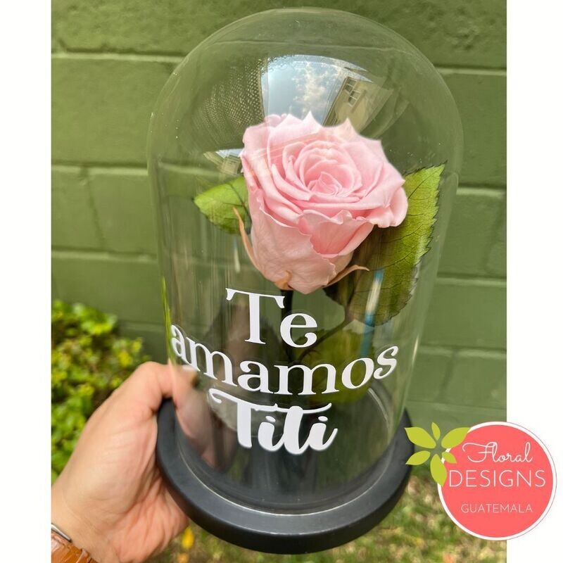 Rosa preservada Rosada