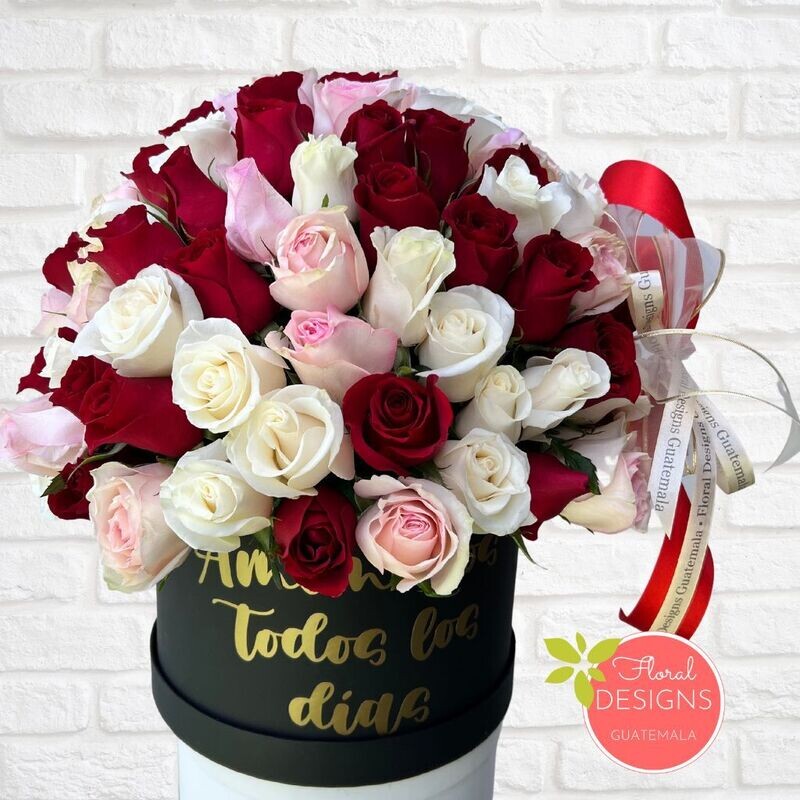Luxury Box negra tricolor