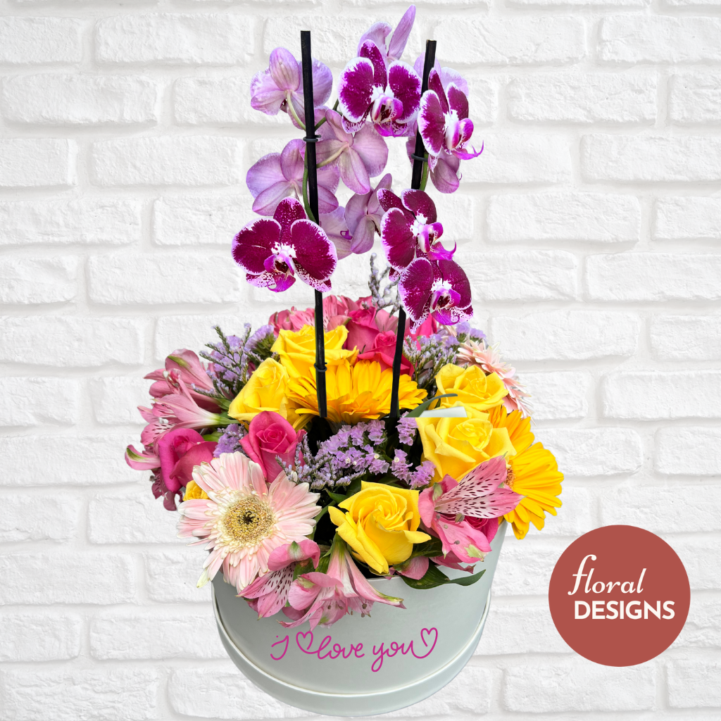 Roundbox de flores mixtas + Orquídea