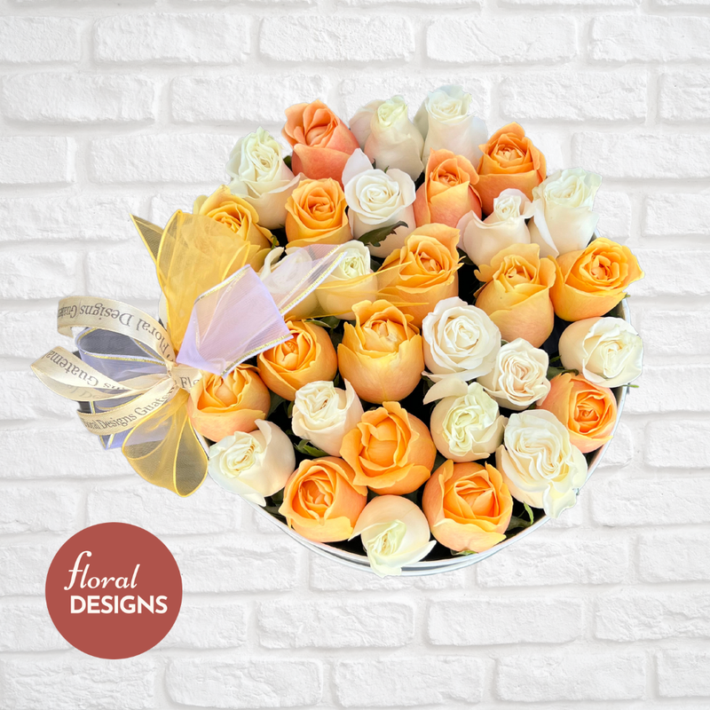 Roundbox Color Naranja y blanco