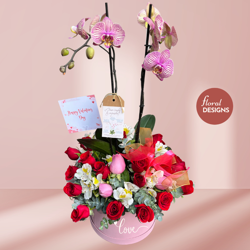 Valentine´s Box con orquídea