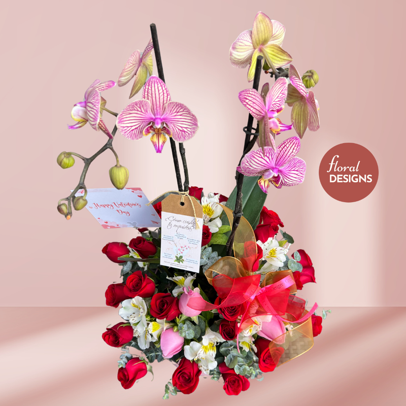 Paris Box con orquídea