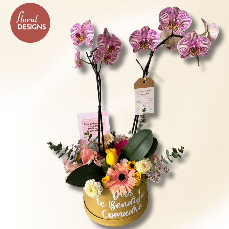 Rounbox de flores mixtas + orquídea