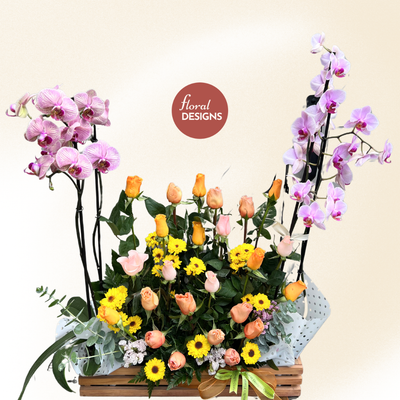 Orchid Bloom