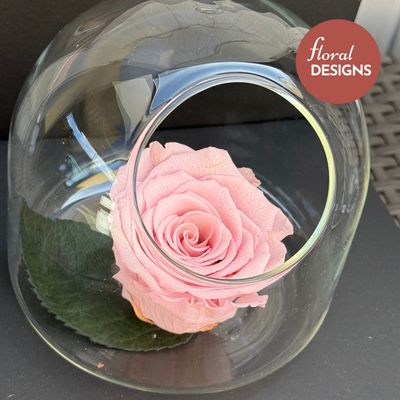 Rosa preservada pink en cápsula de cristal