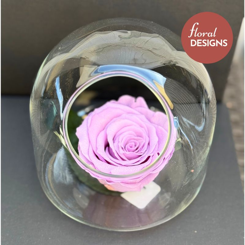 Rosa preservada lila en cápsula de cristal
