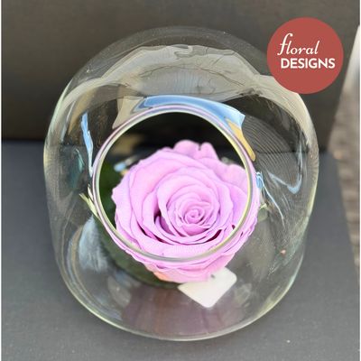 Rosa preservada lila en cápsula de cristal