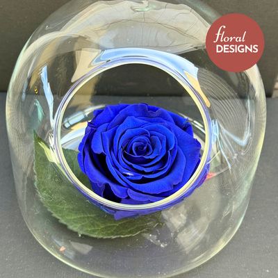 Rosa preservada en cápsula de cristal