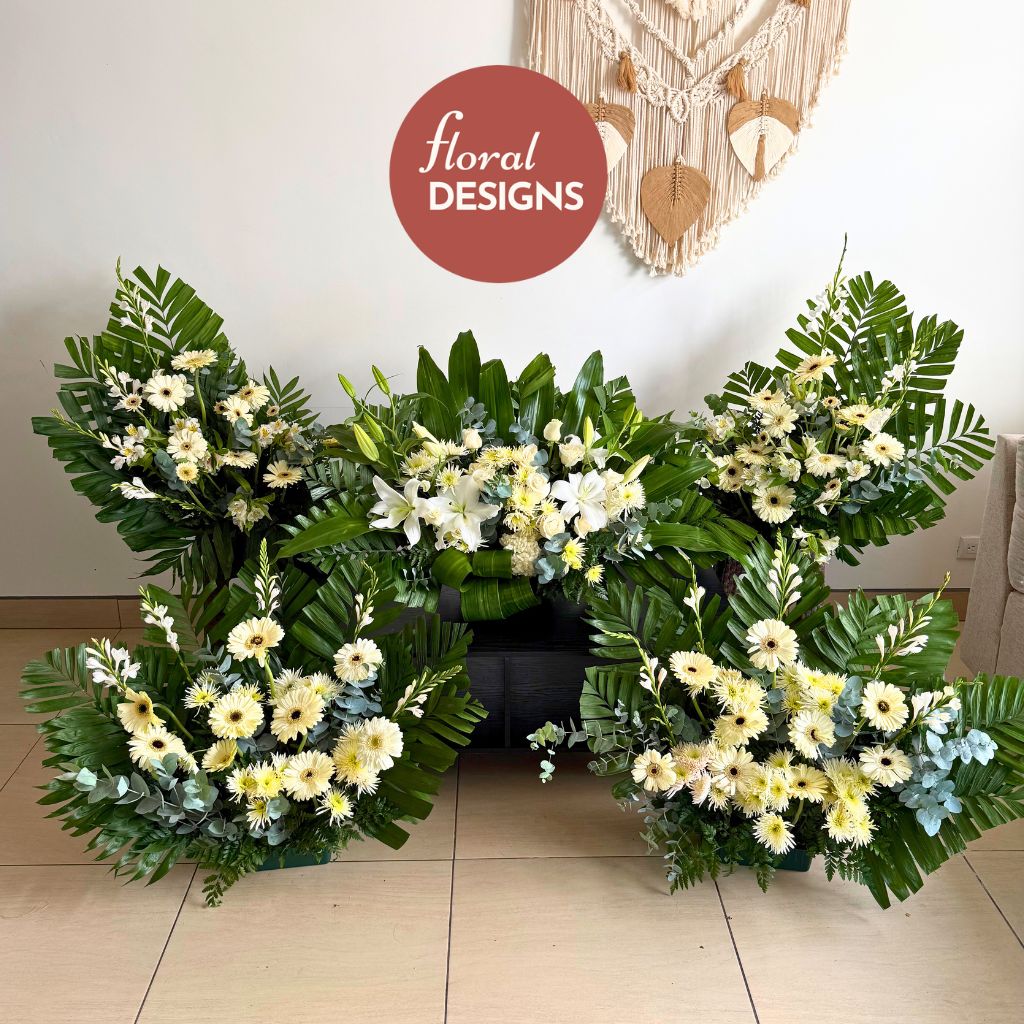 Combo de 5 palmatorias