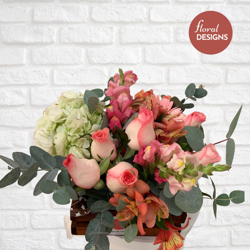 Paquete CM002 (6 unidades)