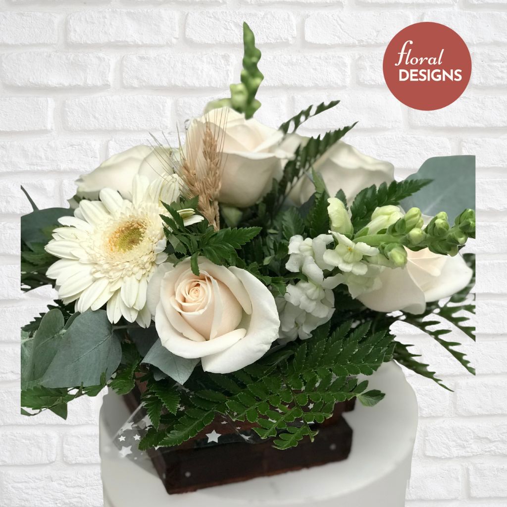 CM003 (Combo de 6 unidades)