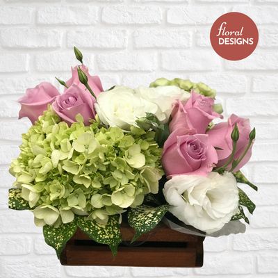 CM004 (Combo de 6 unidades)