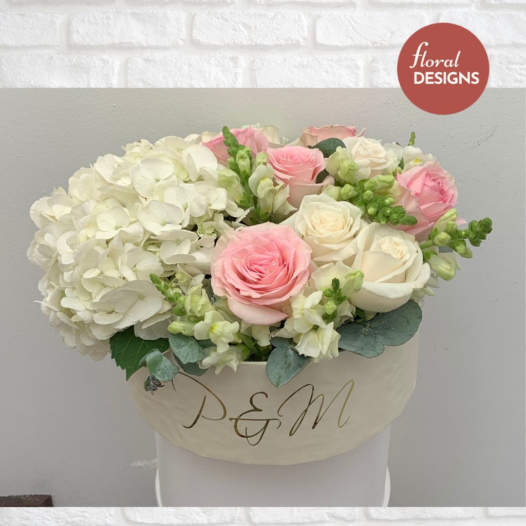 CM005 (Combo de 6 unidades)