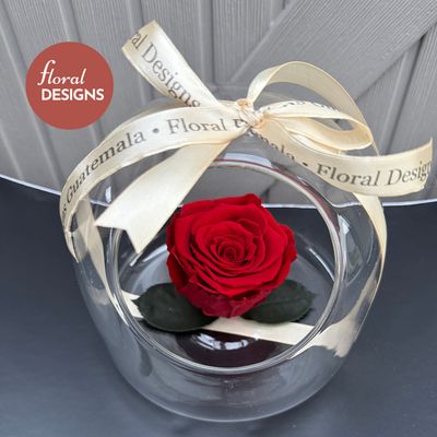 Rosa preservada roja en cápsula de cristal