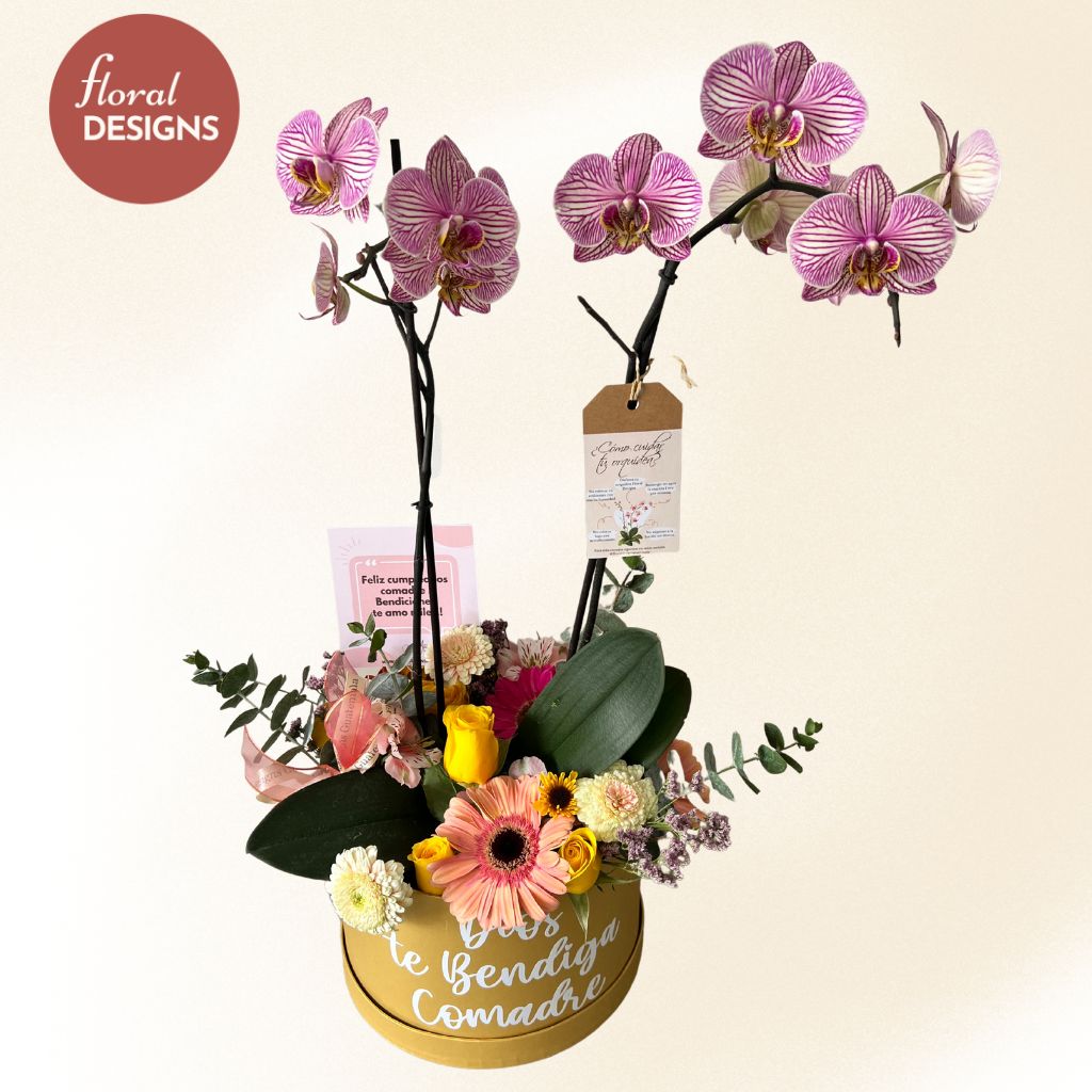 Roundbox de flores mixtas + Orquídea