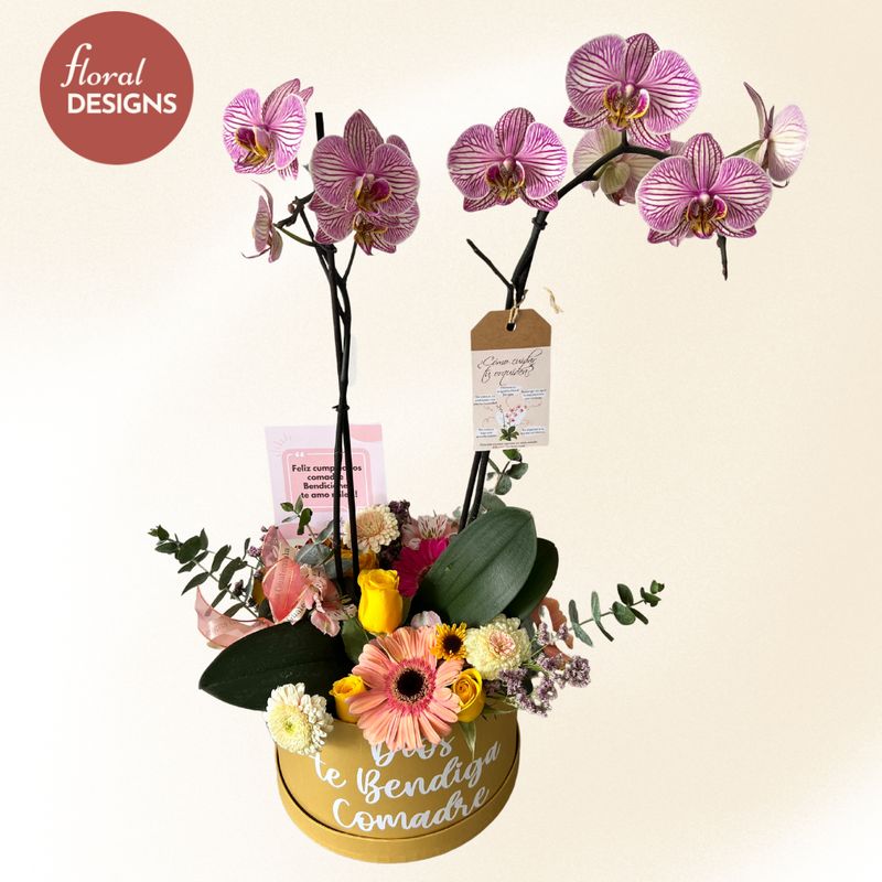 Roundbox de flores mixtas + Orquídea
