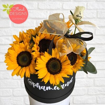 Roundbox Color de Girasoles
