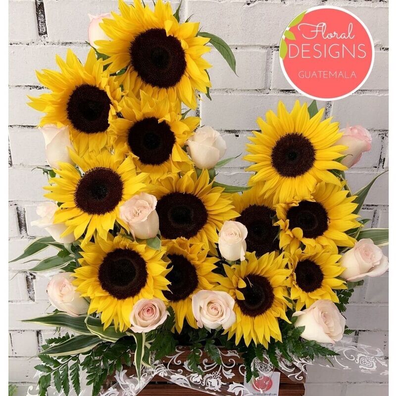 Sunny + rosas