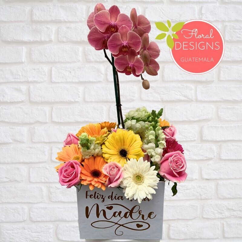 Caja de flores mixtas + Orquídea
