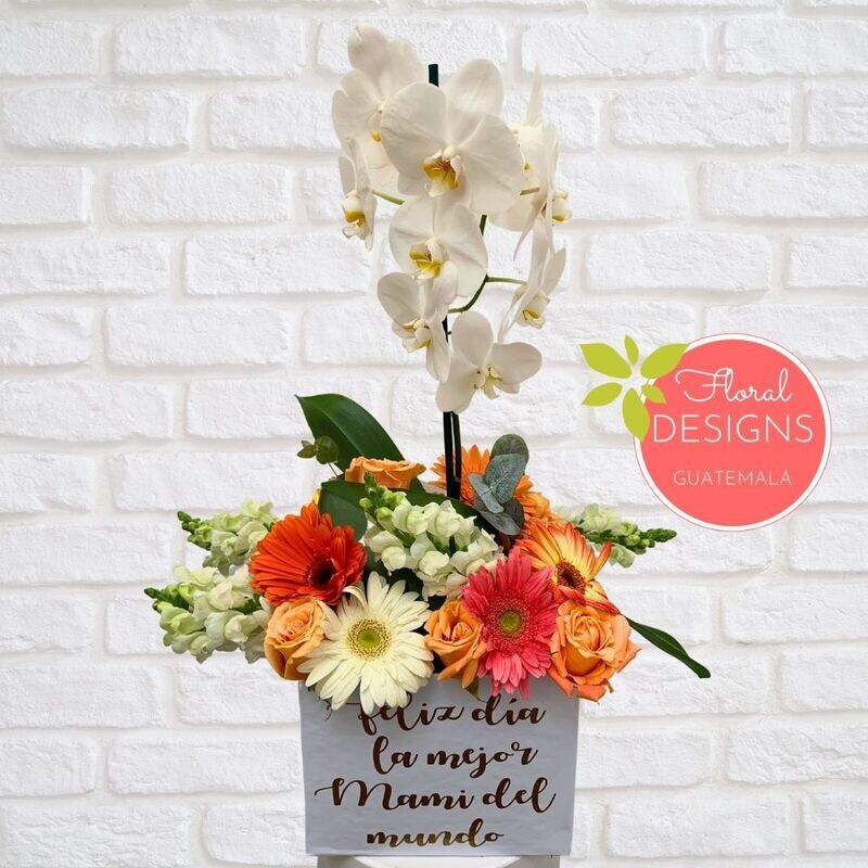 Caja de flores mixtas + Orquídea