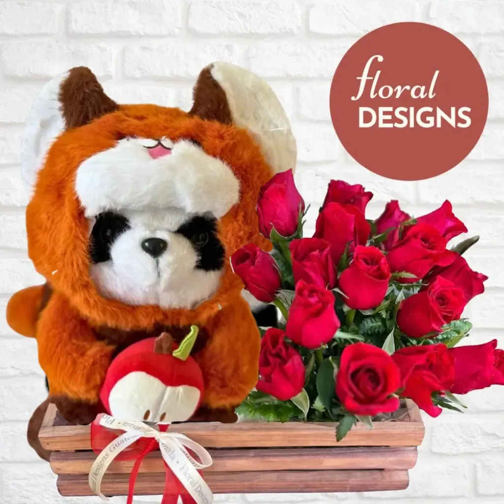 Arreglo de Pandita disfrazado + rosas 🐼🌹