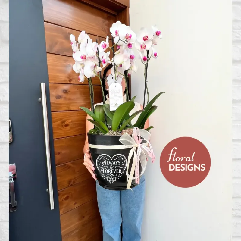 Maceta grande de 4 orquídeas personalizada