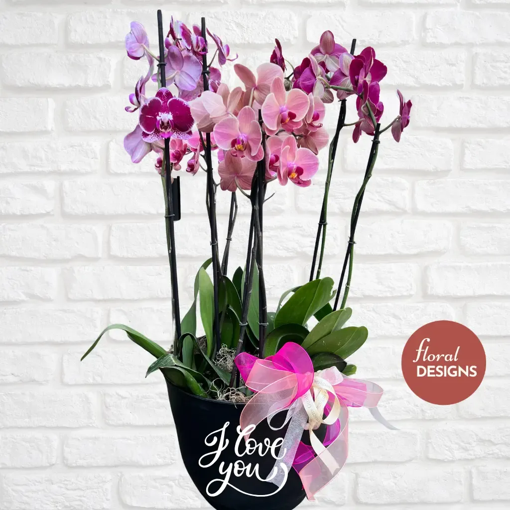 Maceta grande de 4 orquídeas personalizada