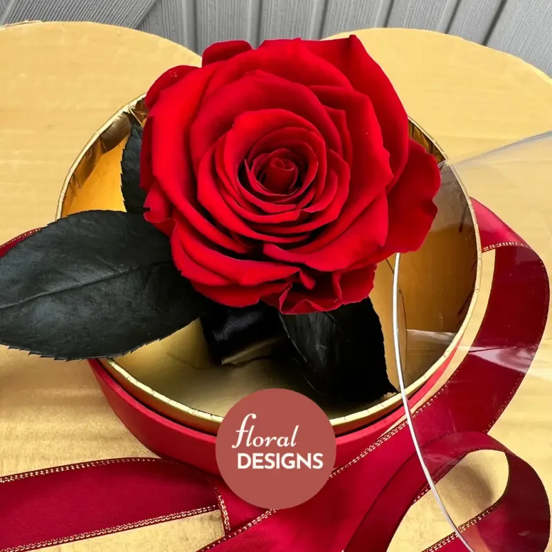 Rosa Preservada en Caja acrílica 🌹 Rojo